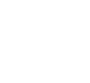 EVE - Powerful Intranet for Companies